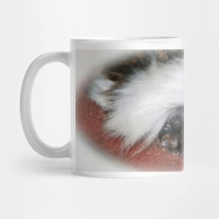 Cotton-top Tamarin Mug